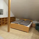 Deichbogen * Kleve (Dusseldorf)